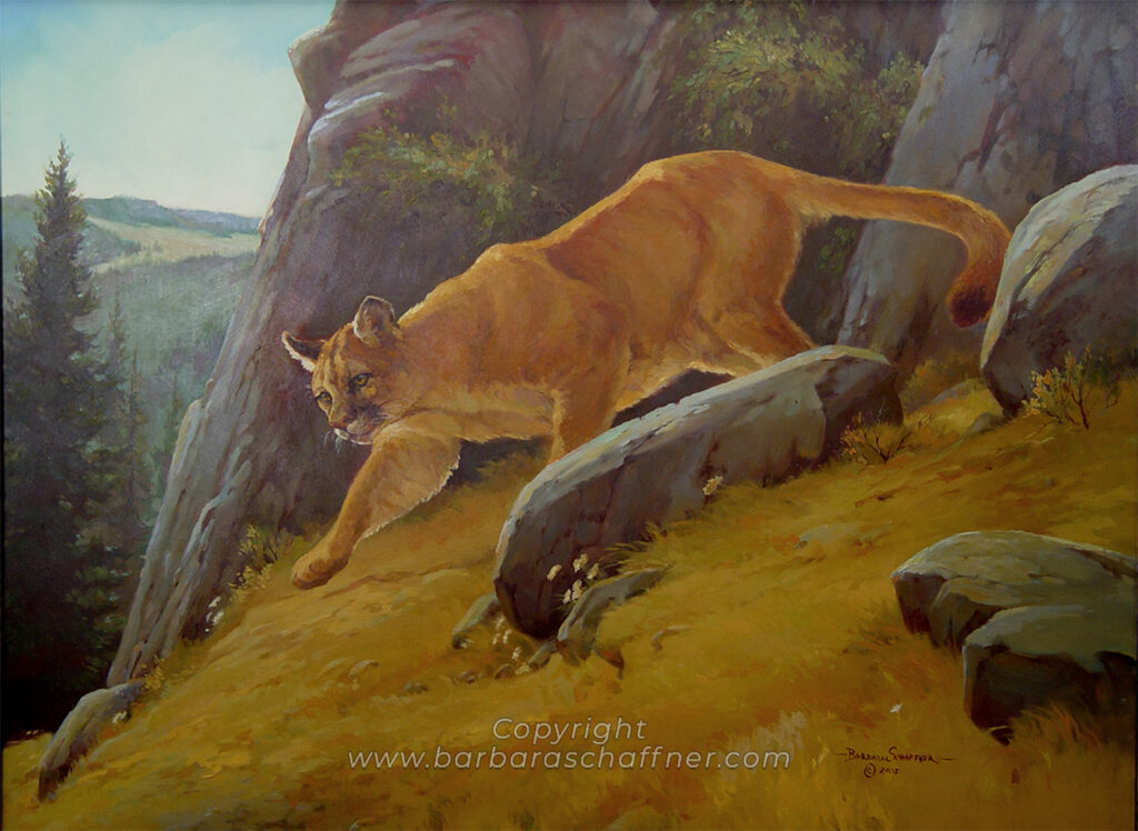 High Country Cougar - Original by Barbara Schaffner (barbaraschaffner.com)